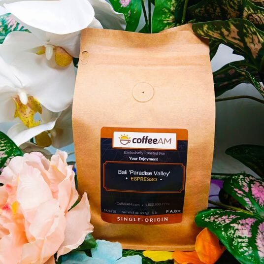 Bali 'Paradise Valley' Coffee - Image 3