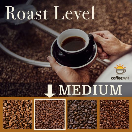 Tropical Refresh Iced Coffee Blend - Image 4
